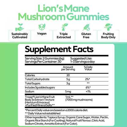 Troop Mushroom Lion's Mane Gummies for Focus & Mood | Vegan Peach Mango, 60 Count