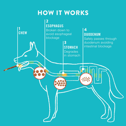 TRURANCH Collagen Sticks for Dogs - 5-inch Rawhide Alternative for Joints & Skin Health