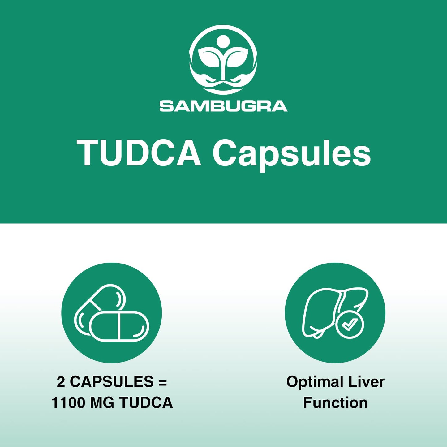 TUDCA 1100mg – Ultra Strength Liver Support (360 Capsules, Pack of 6)