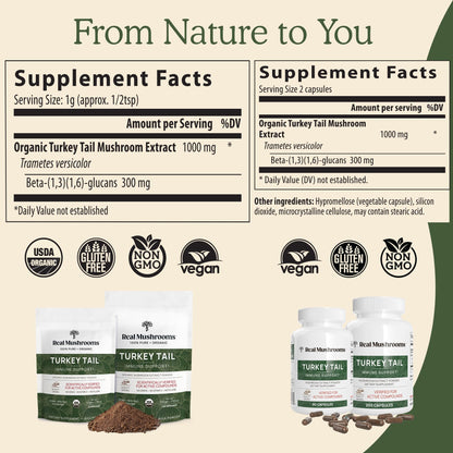 Real Mushrooms Turkey Tail Capsules – Organic Mushroom Extract, 200 Count