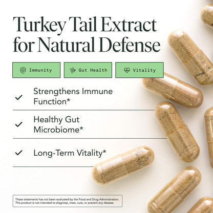 Organic Turkey Tail Mushroom Capsules – Immune & Gut Health (120 Caps, Vegan)
