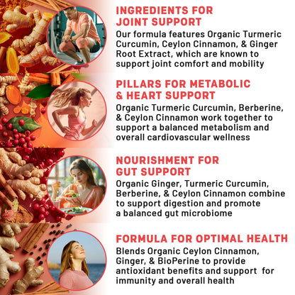PrimeMD 5-in-1 Organic Turmeric Curcumin with Berberine & Bioperine – 120 ct (Pack of 3)