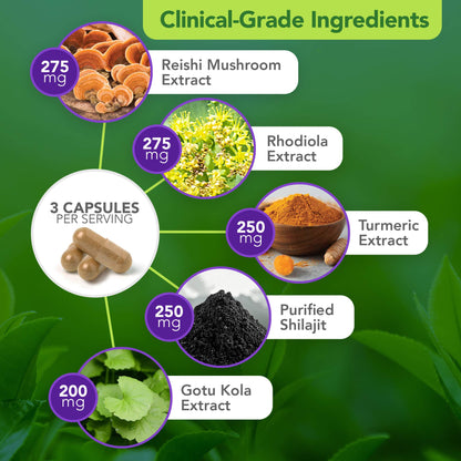 Vital Plan Daily Herbal Supplement by Dr. Bill Rawls – Immune Support, Microbiome Balance & Cell Health