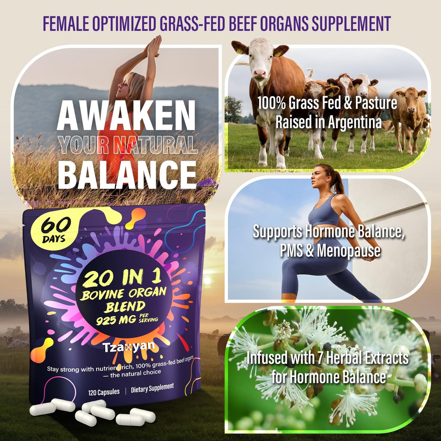 tzaxyan 20-In-1 Beef Organ Supplement for Women – Grass-Fed Liver, Uterus, Ovary & More | Hormone Balance & Energy | 60 Days