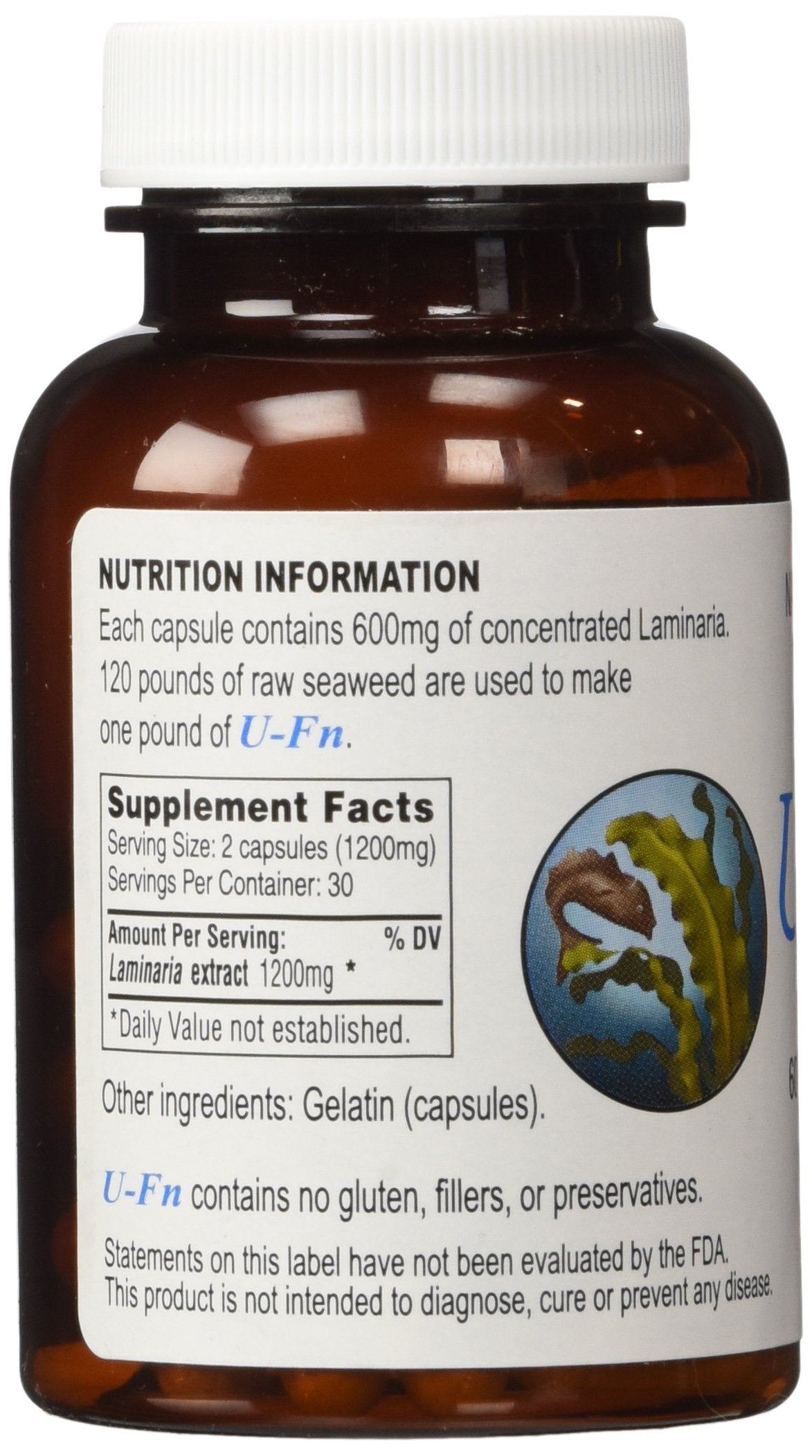 U-Fn U-Fucoidan Extract 60 Caps 600 mg | Laminaria Japonica Seaweed Supplement