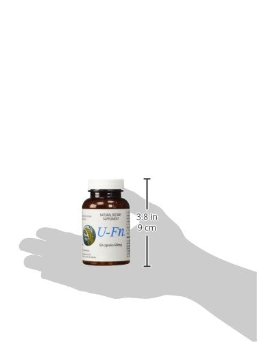 U-Fn U-Fucoidan Extract 60 Caps 600 mg | Laminaria Japonica Seaweed Supplement