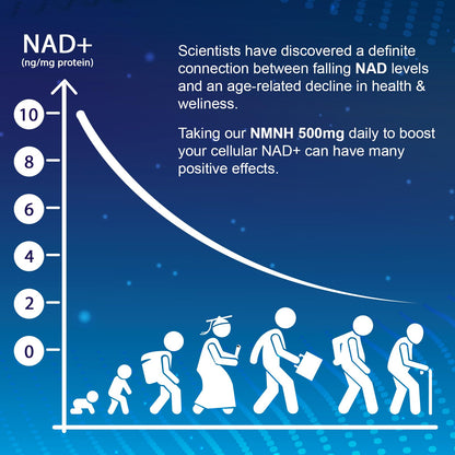 Ucessuyy NMNH NAD Supplement - 500 mg NMNH for NAD+ Support - 240 Servings