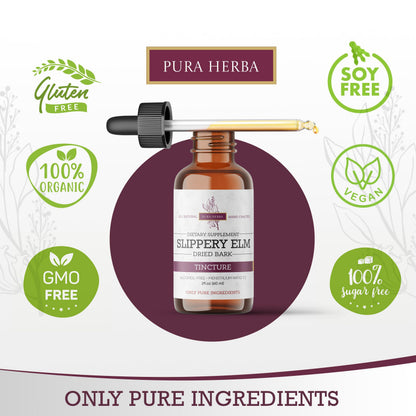 Slippery Elm Tincture – Alcohol-Free | Ulmus rubra Liquid Extract | Digestive & Throat Support | 2 oz
