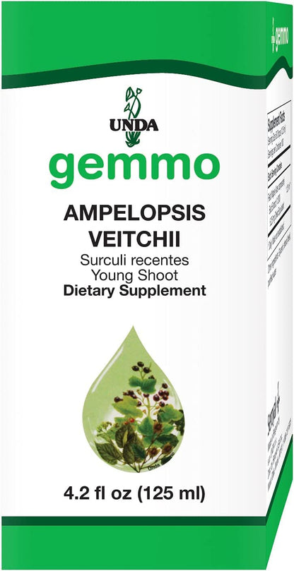UNDA Gemmo Therapy Ampelopsis Veitchii | Boston Ivy Shoots 4.2 fl oz