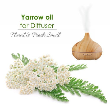 Yarrow Essential Oil – Pure & Undiluted (Achillea millefolium), 50 ml