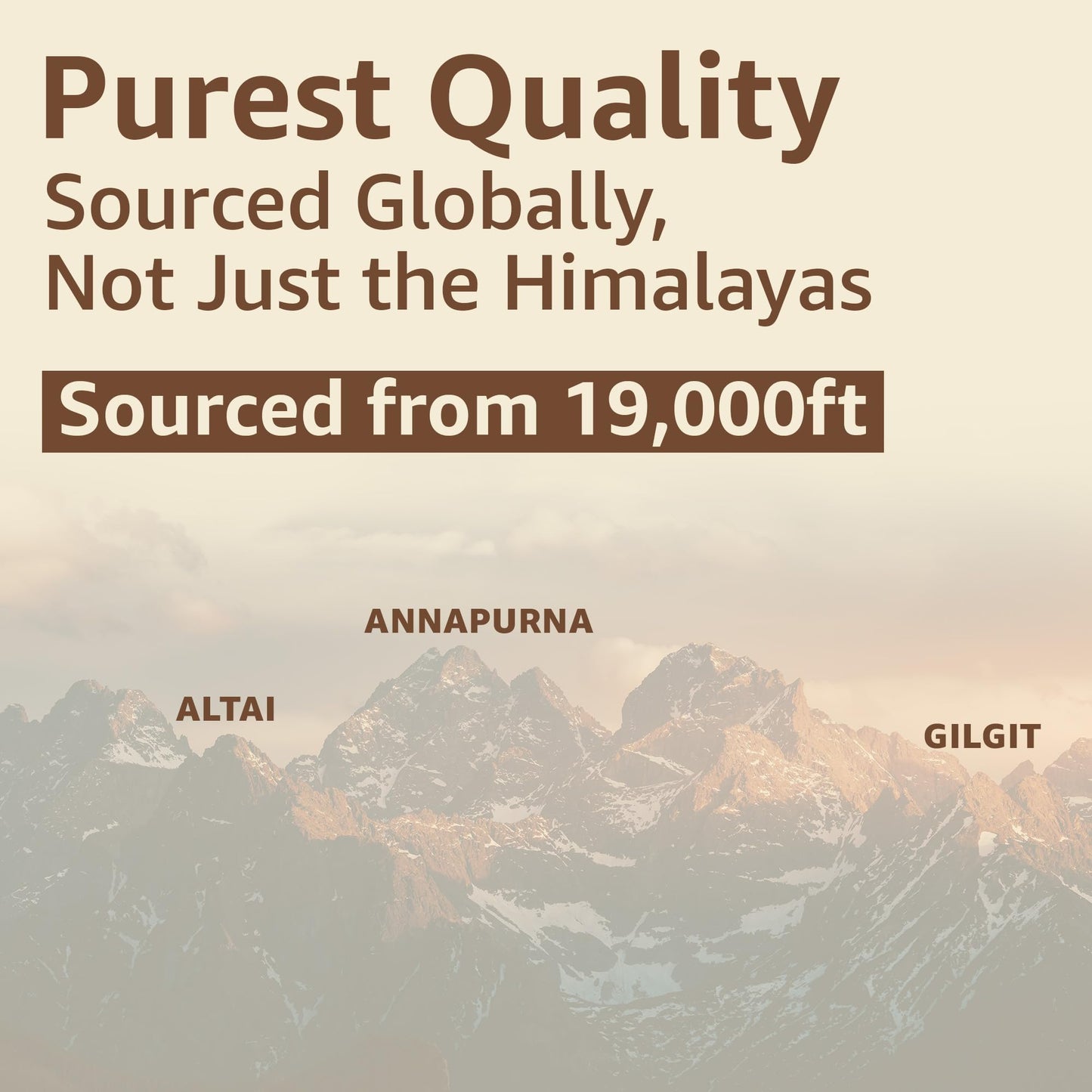 UPAKARMA Pure Shilajit Resin 40g - Lab-Tested, 100 Servings