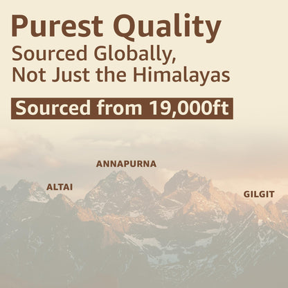 UPAKARMA Pure Shilajit Resin 40g - Lab-Tested, 100 Servings