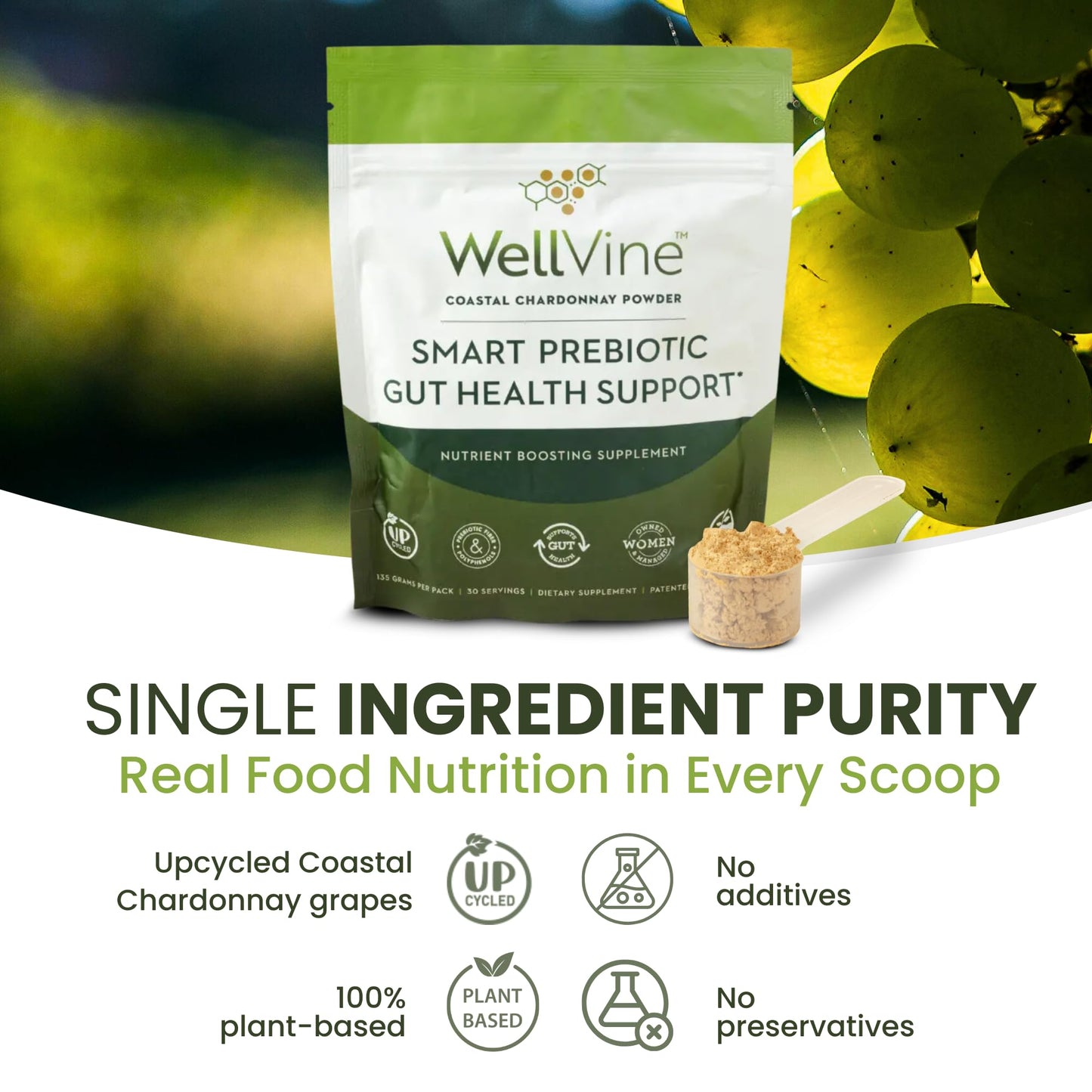 WellVine Premium Smart Prebiotic Gut Health Supplement Powder for Men & Women | Digestive Support & Gut Health With 100% Upcycled Chardonnay Grapes | Plant-Based, Gluten and Allergen-Free | 4.75Oz