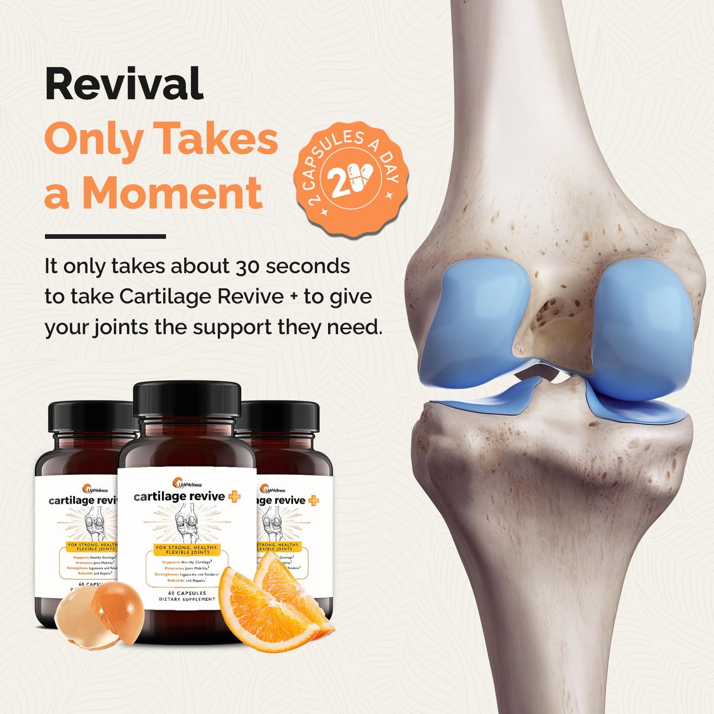 UpWellness Cartilage Revive + Joint Support – Type II Collagen, Glucosamine, MSM, Vitamin D3 & C – 60 Capsules