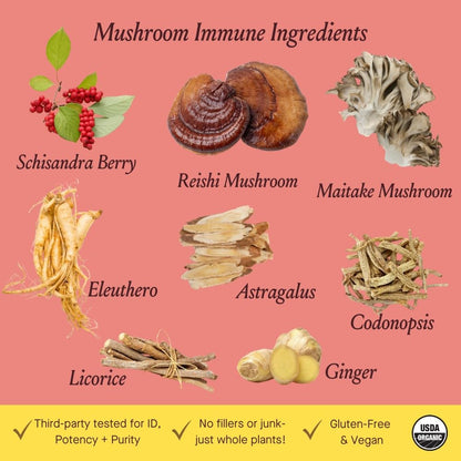 Urban Moonshine Mushroom Immune – Daily Immune Support with Reishi & Astragalus (Gluten Free, 8.4 Fl Oz)
