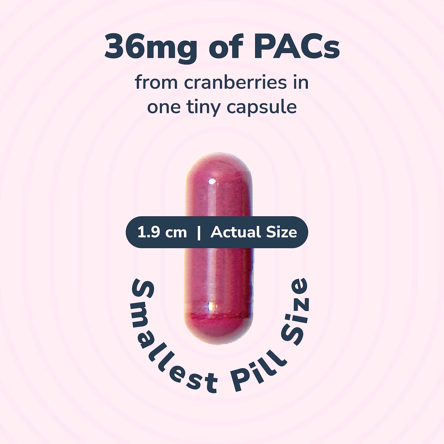 Szio+ Utiva Cranberry PACs – 36 mg PACs Clinically Studied UTI Prevention for Women | 30 Veggie Capsules