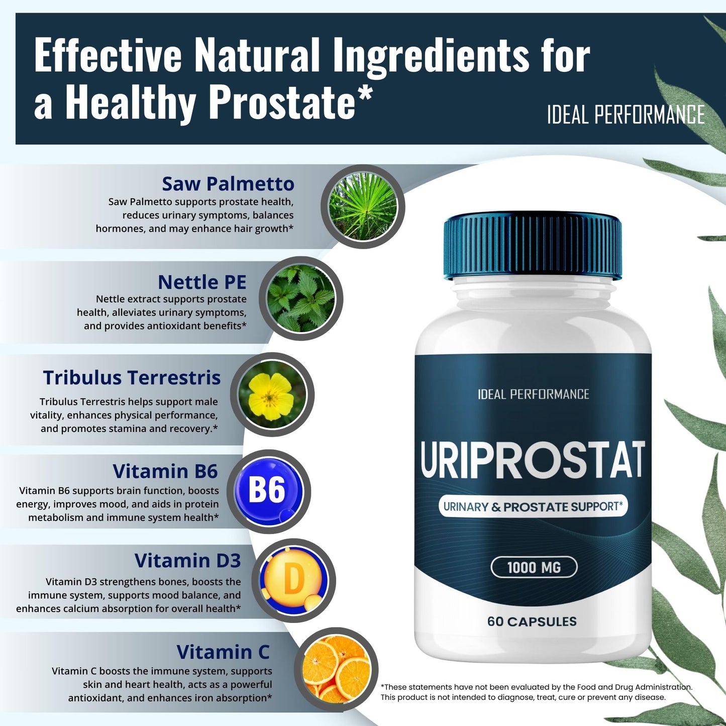 Uriprostat Prostate Health Supplements for Men - All-Natural Capsules (2 Pack)