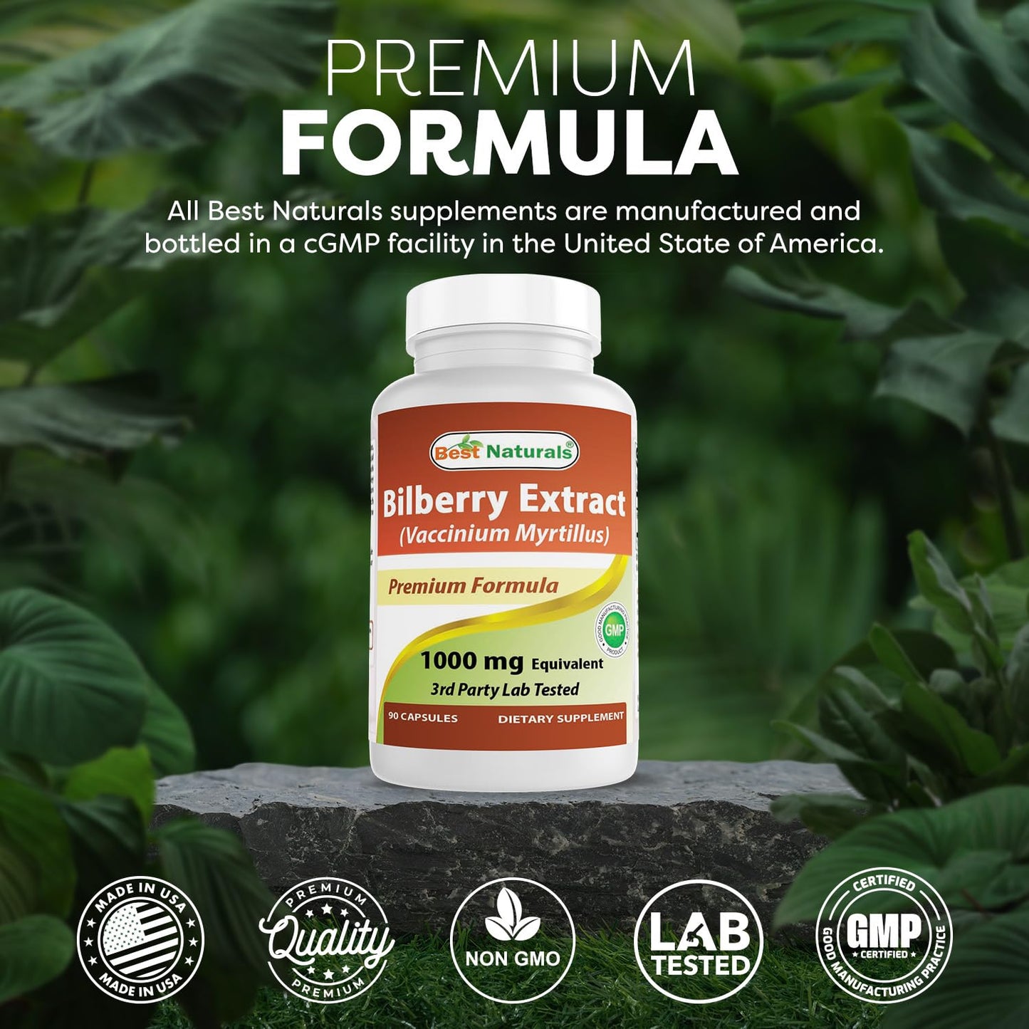 Best Naturals Bilberry Extract 1000mg Capsule (Non-GMO) Supports Healthy Vision, 90 Count