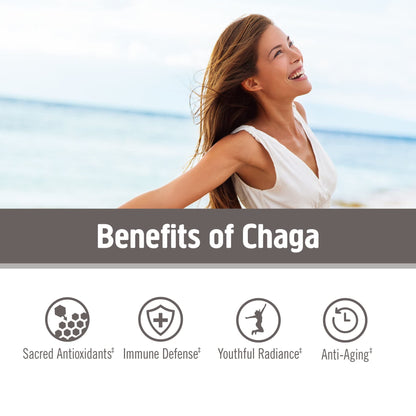 OM MUSHROOM SUPERFOOD Chaga Powder – 7.05 oz, 100 Servings, Organic