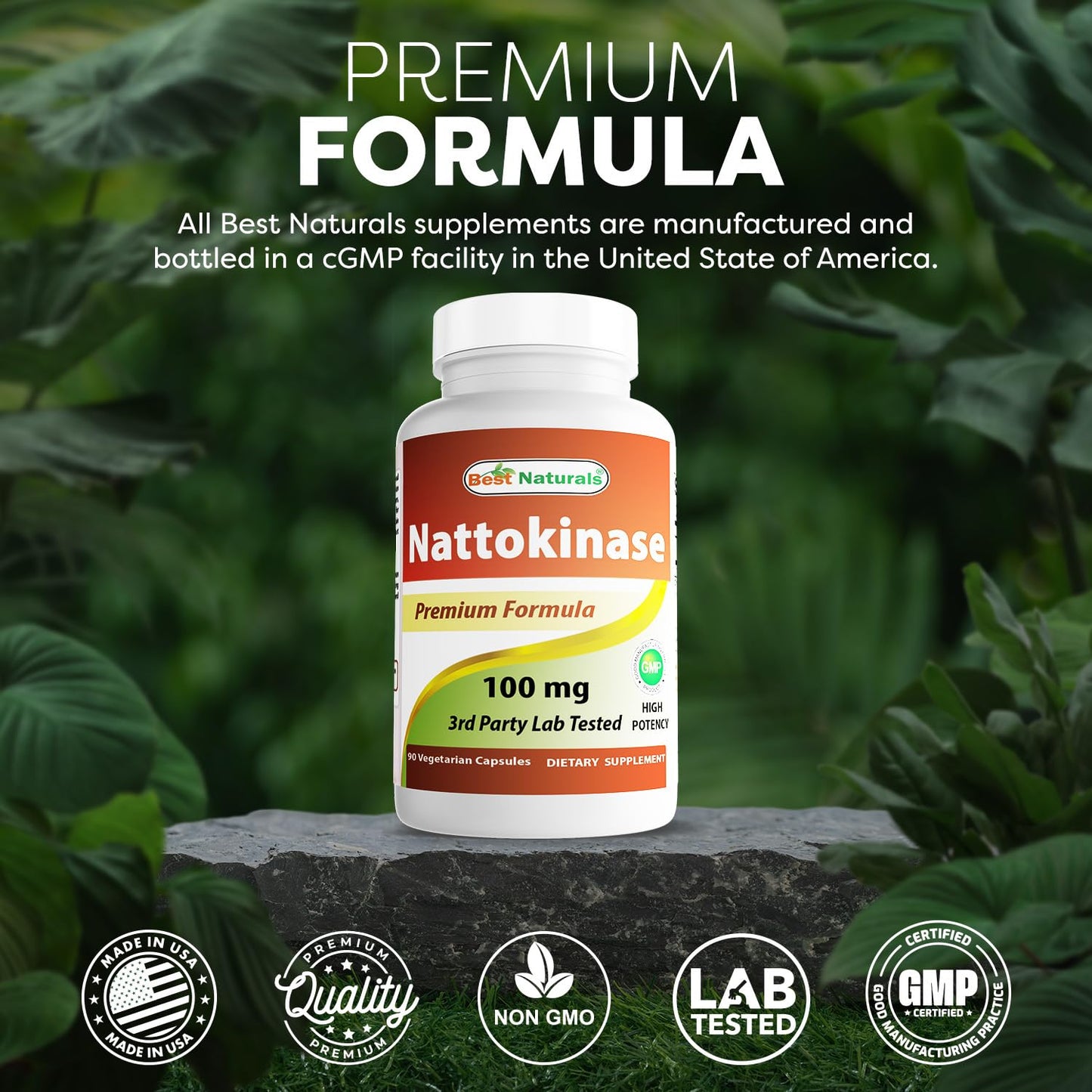 Best Naturals Nattokinase 2000 FU - 100 mg per Vegetarian Capsule | 90 Capsules | Made in USA