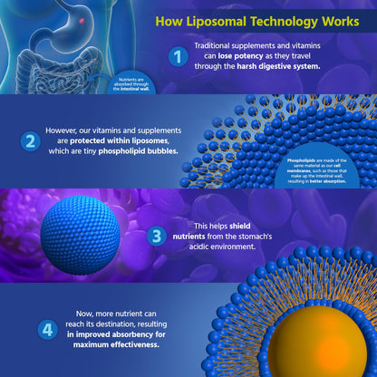 Core Med Science Liposomal Glutathione Supplement – 500mg, 60 Softgels