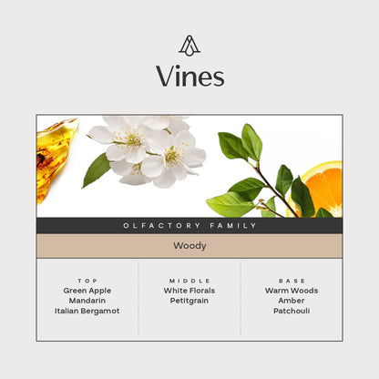 AromaPlan Vines Diffuser Oil – Luxury Hotel Scent, 5.07 fl oz (150 ml), USA Made