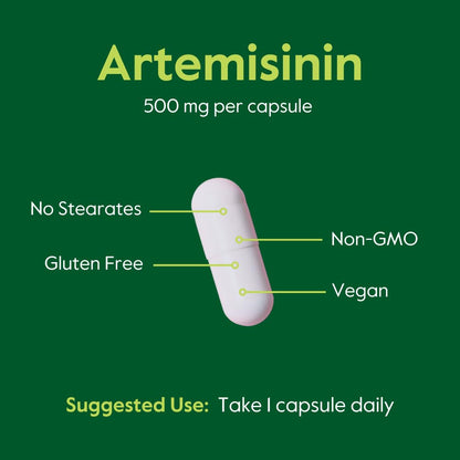BESTVITE Artemisinin 500mg Capsule – 60 Vegetarian Capsules | No Fillers, Vegan, Gluten Free, Non-GMO