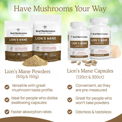 Real Mushrooms Lion’s Mane Supplement Capsules - Organic, Vegan, 300 ct, Beta-Glucan Rich