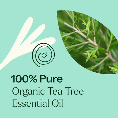 Plant Therapy Tea Tree Oil – 100% Pure, USDA Certified Organic Melaleuca (30 mL)