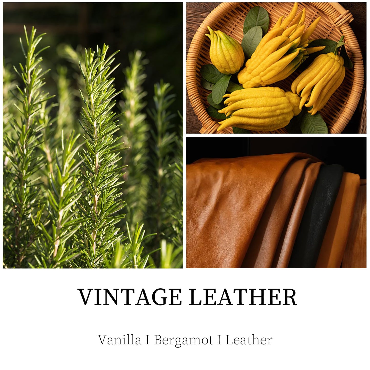 Vintage Leather Candle – 9 oz Soy Wax, Masculine Scented Jar Candle for Men | 50 Hours Burn Time