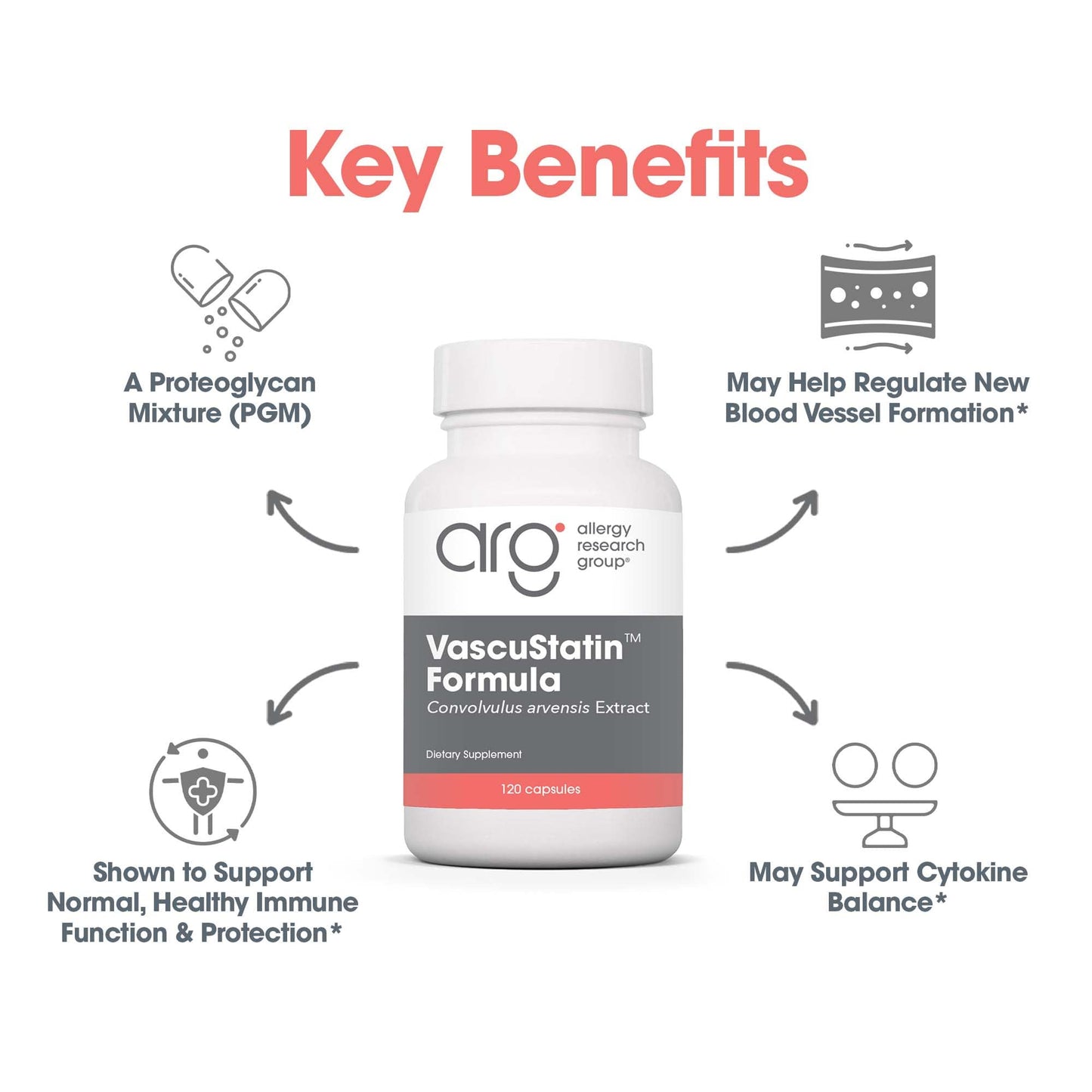 VascuStatin Formula with Convolvulus arvensis Extract - 120 Count | Allergy Research Group