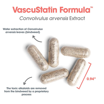 VascuStatin Formula with Convolvulus arvensis Extract - 120 Count | Allergy Research Group
