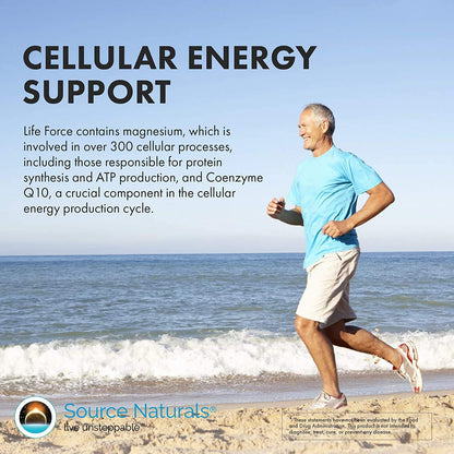 Source Naturals Life Force Vegan Multiple – 60 Tablets | All-Vegan Multivitamin