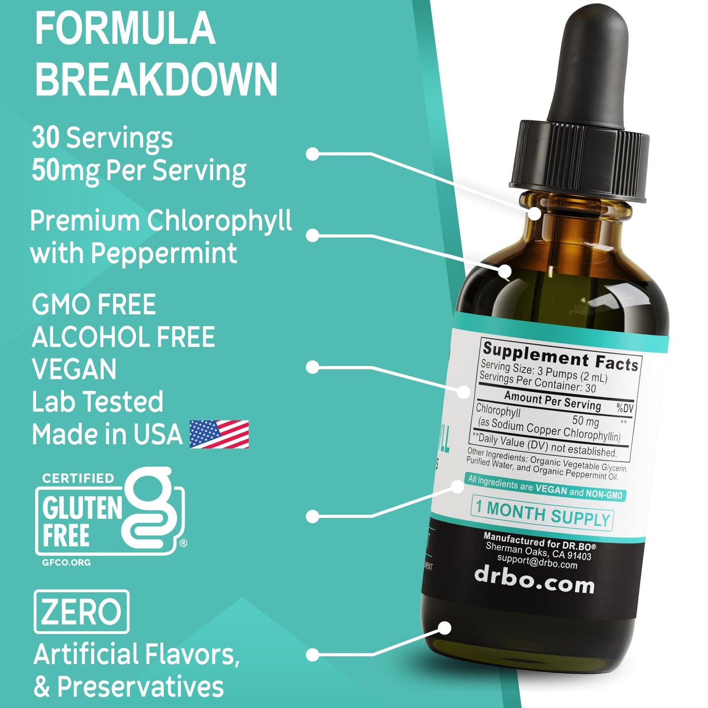 Chlorophyll Liquid Drops – Body Detox, Odor Cleanse & Immune Support | Vegan 2 oz