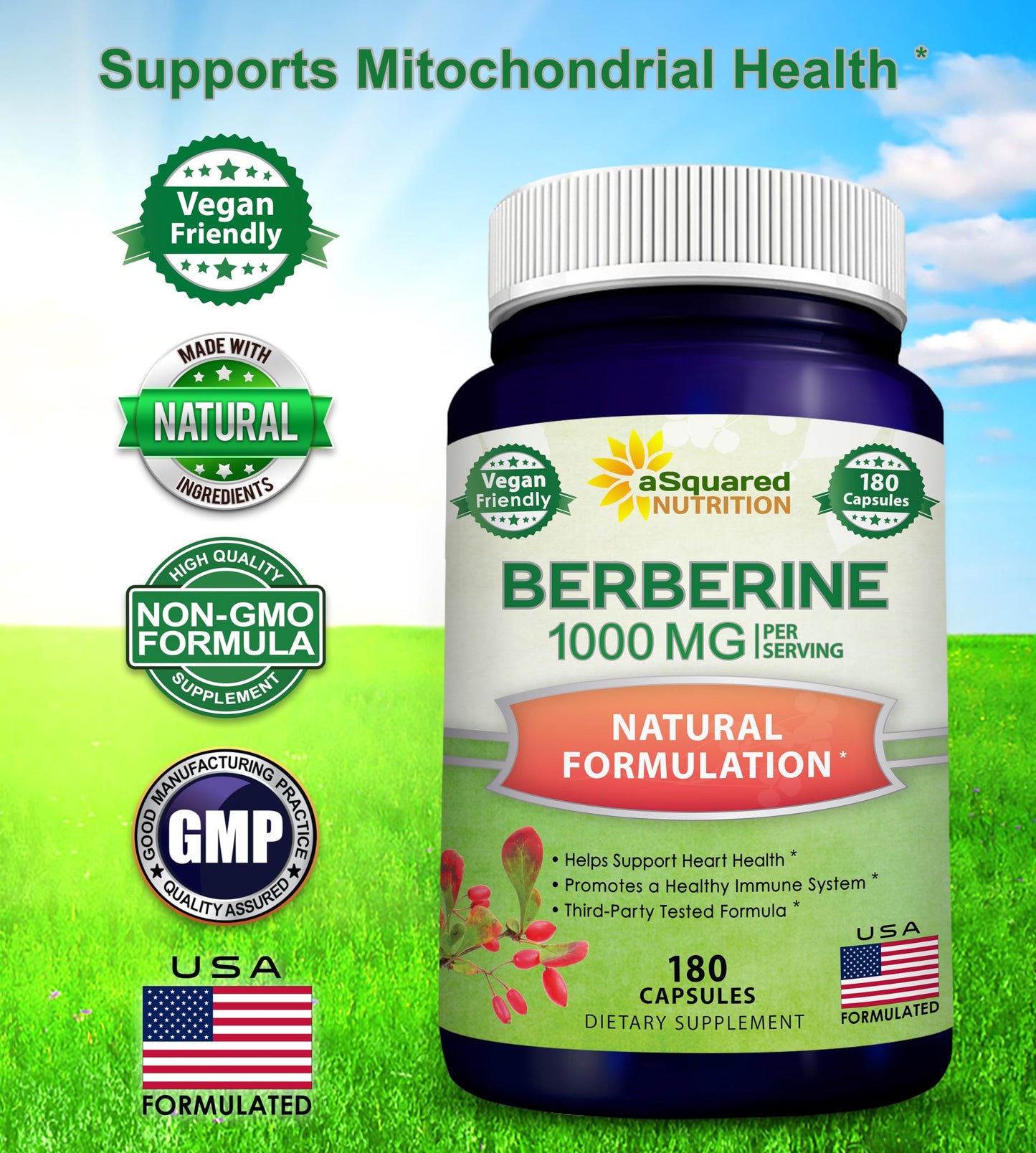 aSquared Nutrition Pure Berberine 1000mg – 180 Veggie Capsules | Max Strength HCl