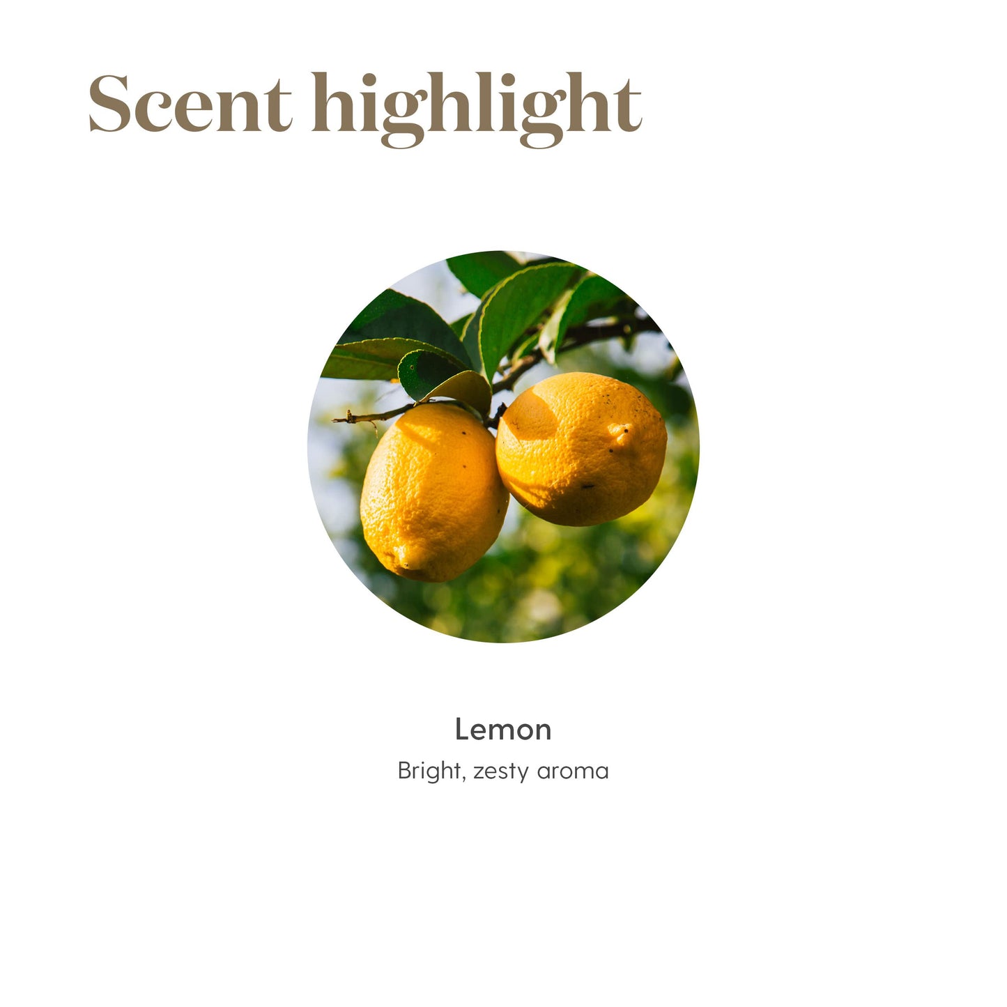 Young Living Lemon Essential Oil 15ml – Premium Grade, 100% Pure & Natural