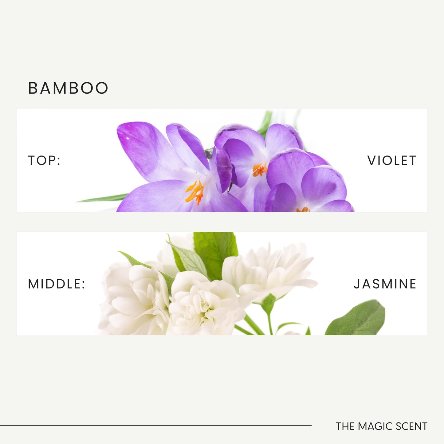The Magic Scent Bamboo Diffuser Oil – Luxury Hotel Scents (8.5 fl oz, 250 mL)