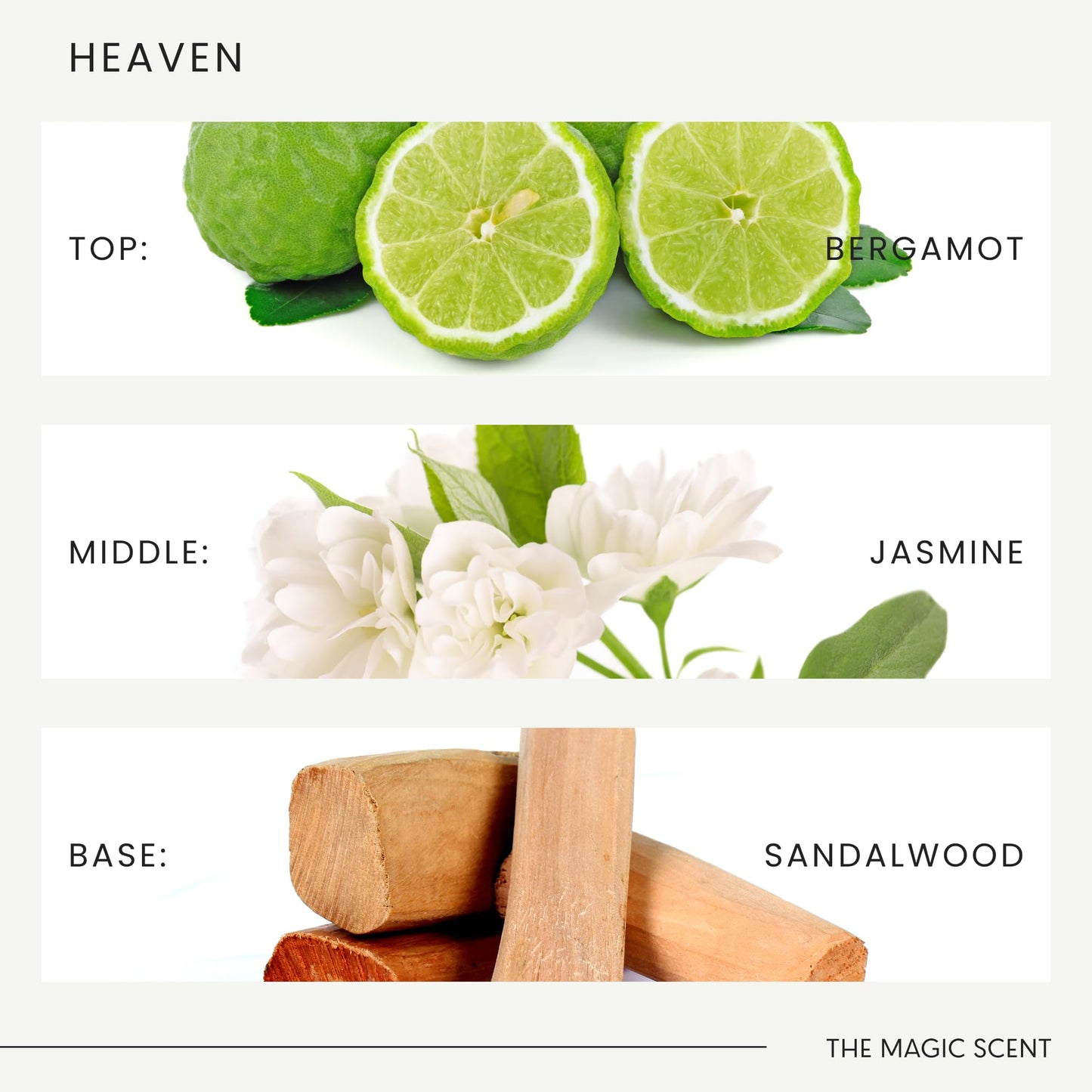 Magic Scent Heaven Diffuser Oil – Luxury Home & Hotel (10 ml) – Aria-Inspired