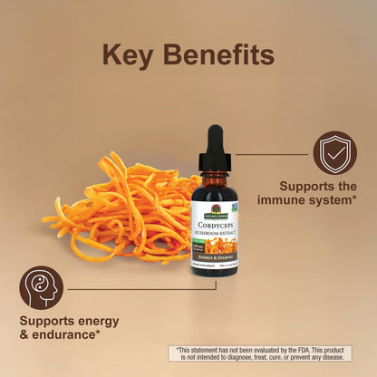 Cordyceps Mushroom Extract – Alcohol Free, 1 fl oz (30 ml) | 1,000 mg per Serving