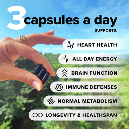 Complement Essential Vegan Multivitamin for Men & Women | Omega-3 DHA/EPA, D3 & K2