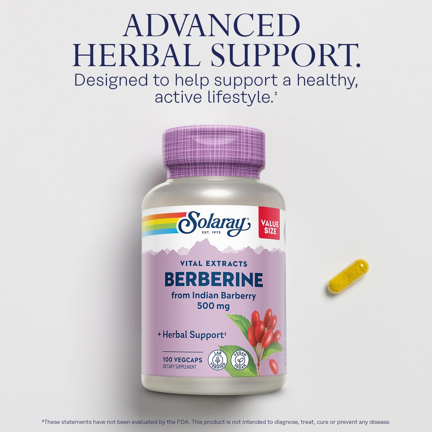SOLARAY Berberine 500mg – Berberine HCl from Indian Barberry, Vegan, Non-GMO, 100 Servings