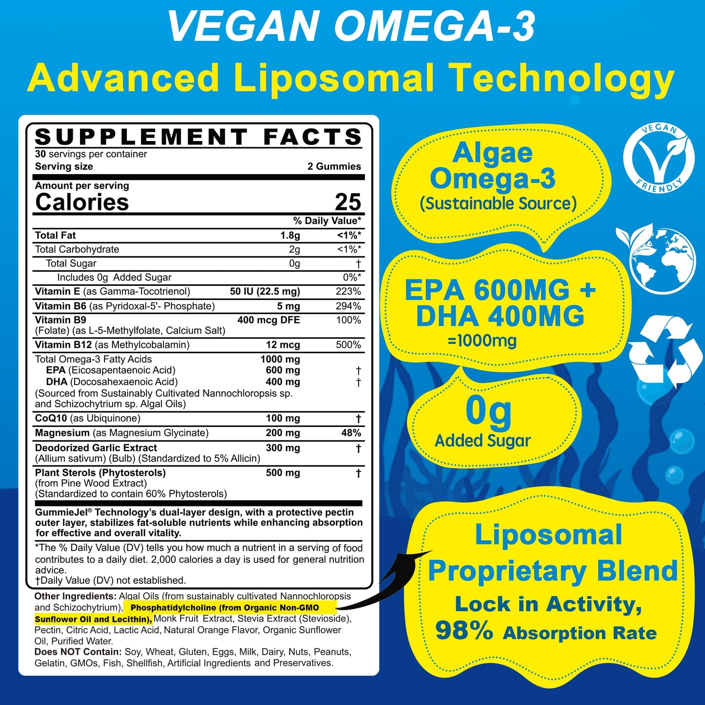 EnvyCure Vegan Omega-3 Gummies 1000mg + CoQ10 + Magnesium – EPA 600mg DHA 400mg, Liposomal Algae, 2-Pack