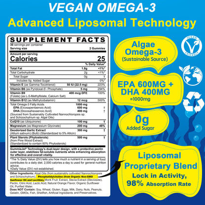 EnvyCure Vegan Omega-3 Gummies 1000mg + CoQ10 + Magnesium – EPA 600mg DHA 400mg, Liposomal Algae, 2-Pack