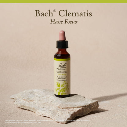 Bach Original Flower Remedies: Clematis Have Focus - Emotional Balance (20mL Dropper)