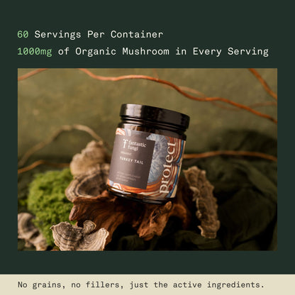 Organic Turkey Tail Mushroom Capsules – Immune & Gut Health (120 Caps, Vegan)