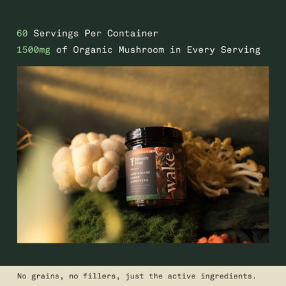 Mushroom Supplement with Lions Mane, Chaga & Cordyceps – USDA Organic, Vegan, 120 Caps (2-Month Supply)