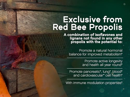 NaturaNectar Red Bee Propolis Capsules – NSF Certified, Gluten-Free (60pcs)