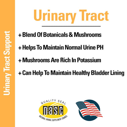 Vet Classics Urinary Tract Dog Supplement – Cranberry Chewable Tablets 120 Ct