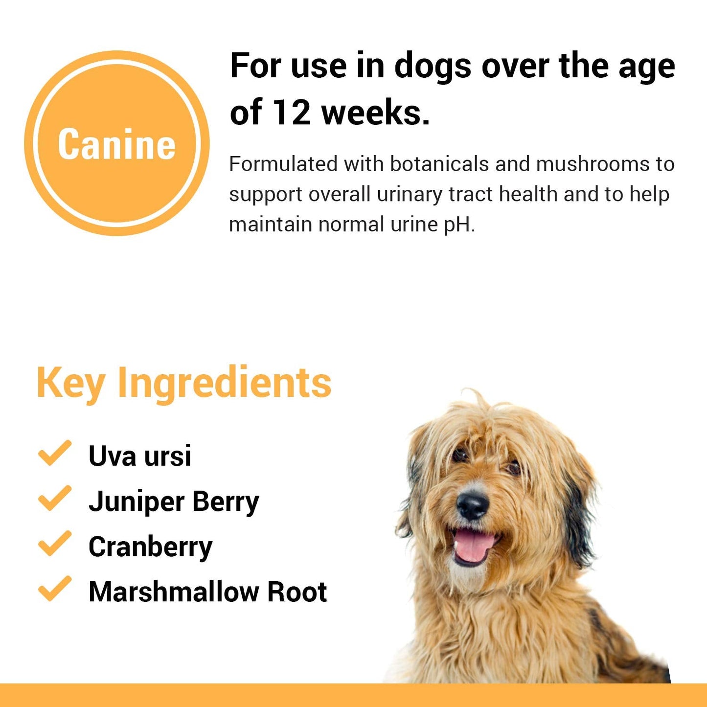 Vet Classics Urinary Tract Dog Supplement – Cranberry Chewable Tablets 120 Ct