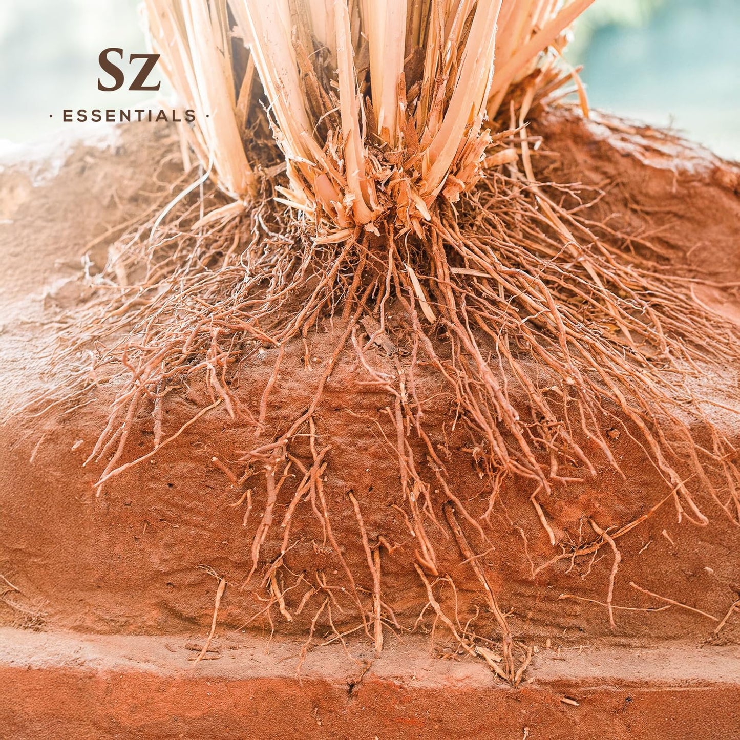 Sz Essentials Vetiver Essential Oil - 100% Pure & Undiluted (5 mL) | Therapeutic Grade